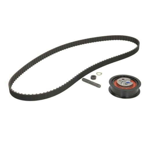 Kit distribution INA 530 0157 10 pour réparer le moteur Audi 80 B4 24mm