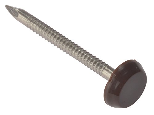 Forgefix PN40B-Chiodi a fascia collata per rivestimenti, colore: marrone