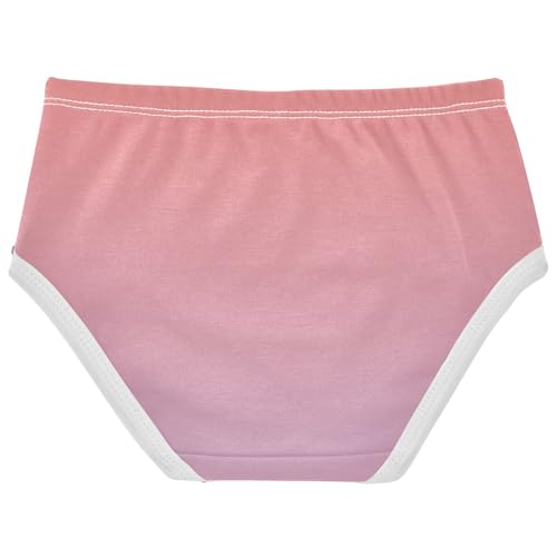Joisal Durable Toddler Underwear Floral 2t Cotton Cute Panties Girl Coral Pink Lilac Gradient Briefs Undies Kids2