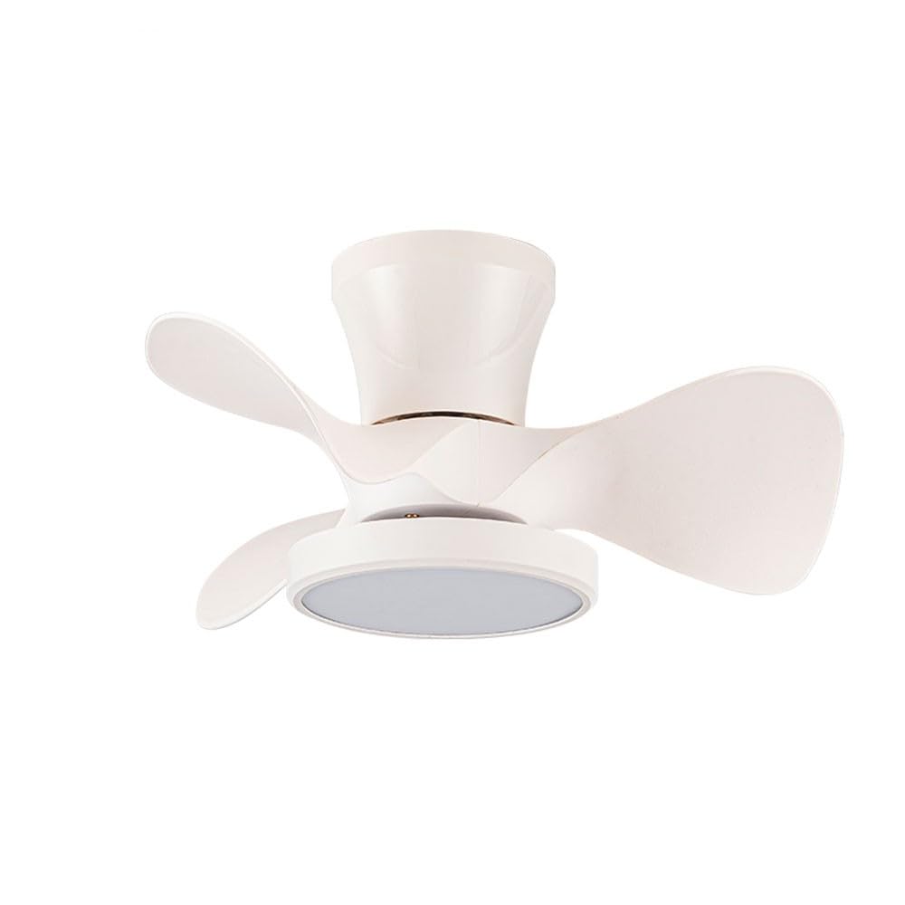 Bilake Mini Ceiling Fan White | Small Ceiling Fan DC Motor | Ceiling Fan with Dimmable Light 20W Moll