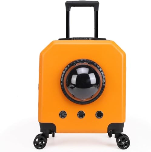 DanussiybgL[ ^ELp spL[obO yʁEʋC ϋv LpL[obO ~ɋ 9kg܂ t LX^[ t ybgpL[P[X U ԍ s ʉ@ hЗp (IW)