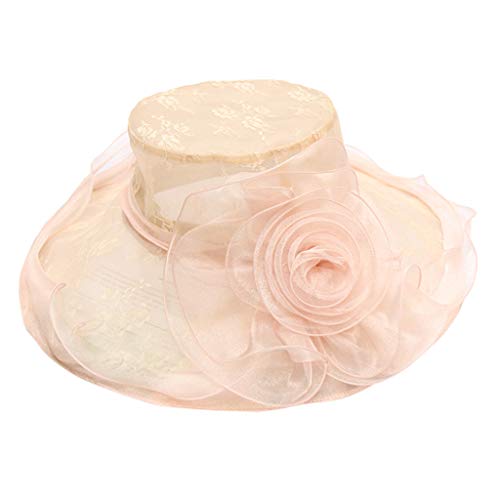Sunnywill Women's Organza Church Kentucky Derby Hat Feather Fascinator Bridal Tea Party Pink