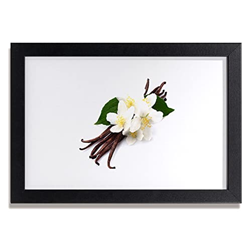Affiche avec cadre en MDF 30x20 cm image haute définition poussin de vanille