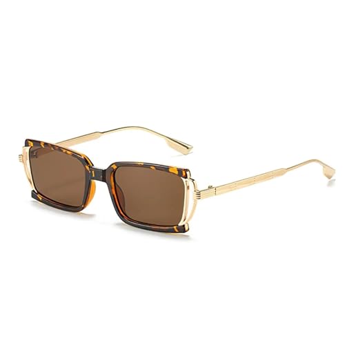 Fashion Sunglasses for Women Box Sunglasses with Small Dots on the Glass Legs and Metal Stripes Uv400