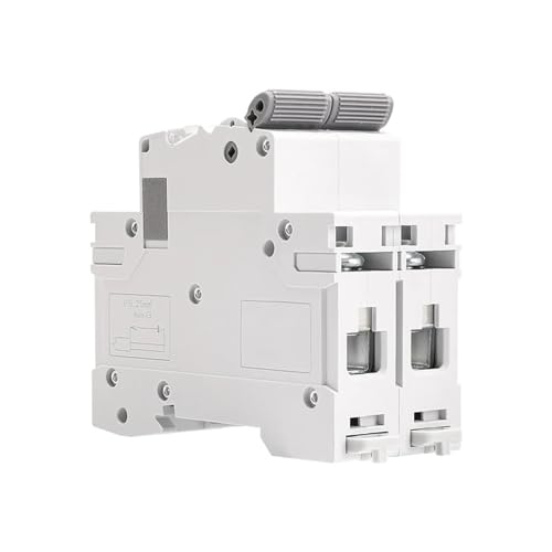 Mini-disjoncteur GYM9H 2 pôles 10 kA 50A AC pour tableau électrique