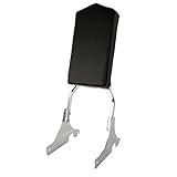 Pacchetto incluso: 1× Schienale Sissy Bar (Come Immagine Mostrata)