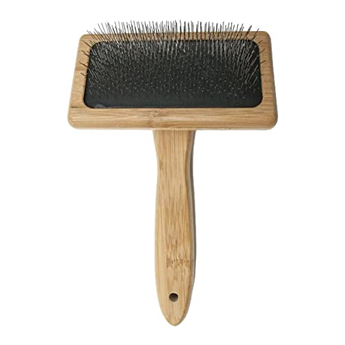 RadianceBiz Pflegebürste – Komfortable Und Polierte Edelstahlstifte – für