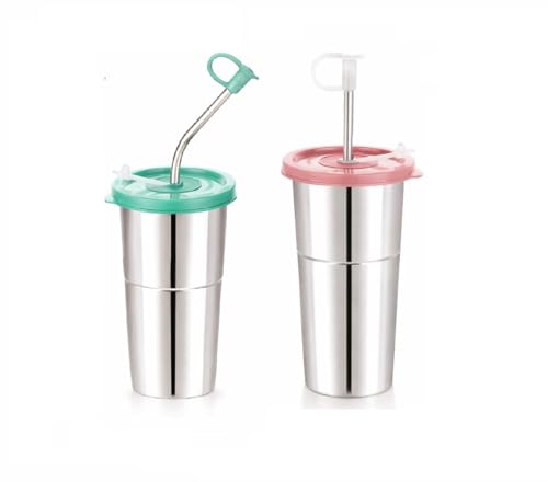 Image of Stainless Steel Fusion Glass Tumbler with Stainless Steel Metal Straws and Cleaning Brush with Lid (LD SIP 400+600ML)