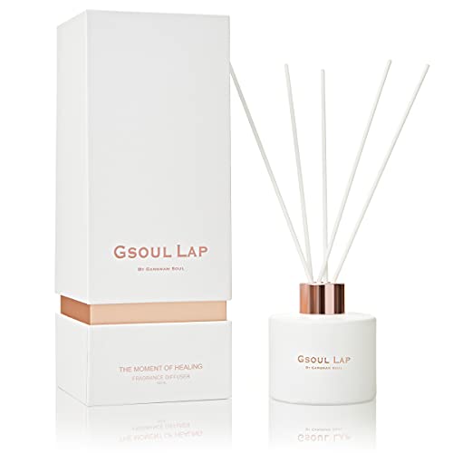 GSOUL LAP by GANGNAM SOUL Eucalyptus Reed Diffuser Set / Fragrance Oil Diffuser Reeds / Scent Diffuser / Reed Diffuser Sticks / Room Decor / Office Decor / Home Fragrance Products & Gifts