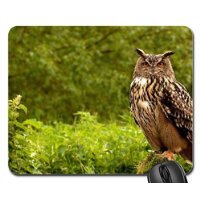 owl Mouse Pad, Mousepad (Birds Mouse Pad)