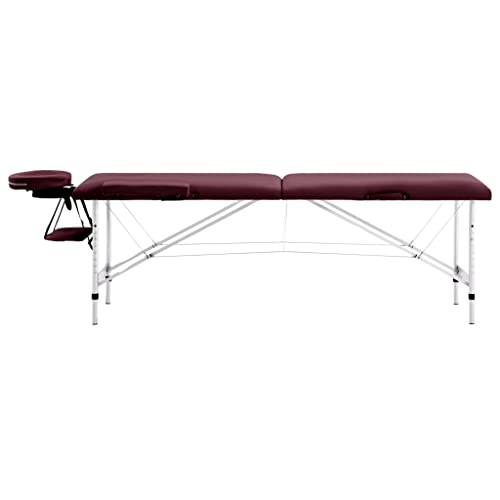 Genérico Camilla de Masaje Plegable 2 Zonas Aluminio Morado,Salud y Belleza,Cuidado Personal,Masaje y relajación,Mesas de masaje-110196
