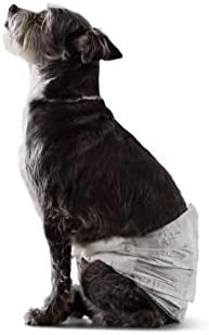 Amazon Basics Male Dog Wrap, Disposable Nappies  XS, Pack of 30