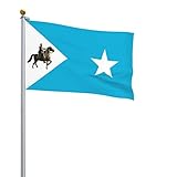 POOEDSO Flag of Khaatumo State of Somalia Flag 2x3 FT Outdoor Banner Garden Balcony Family Indoor Party Flags Doorway Festivals Decoration Flag
