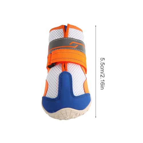 Chaussons pour chien durables et confortables pour Teckel