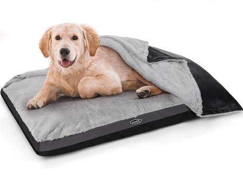 Pecute Cuccia per Cani, Letto per Cani, Cuccia per Cani Lavabile ...