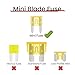 60Pcs Mini Car Fuse Kit, Automotive Fuses Assortment kit(1A/2A/3A/5A/7.5A/10A/15A/20A/25A/30A/35A/40A), Blade Fuse for Car/RV/Truck/Boat/Marine