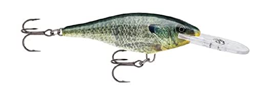 ラパラ シャッドラップ 5cm 6g SR5-BGL