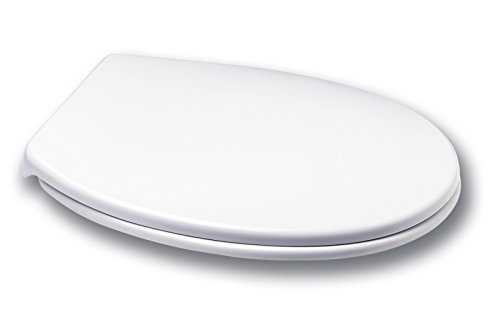 DUBOURGEL GRANGE SA BEMIS Abattant de WC Rock polypropylène Eco