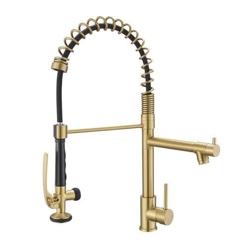 Brushed Gold Kitchen Faucet with Pull Down...
