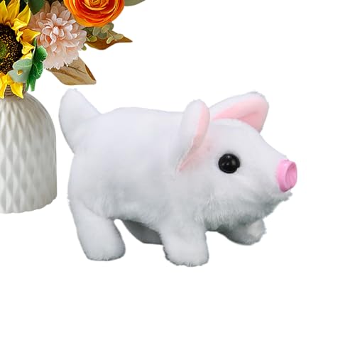 Aȃ{bgybg,ʂ - RpjIybg,j̎q ̎q  ƒ wZ  ct