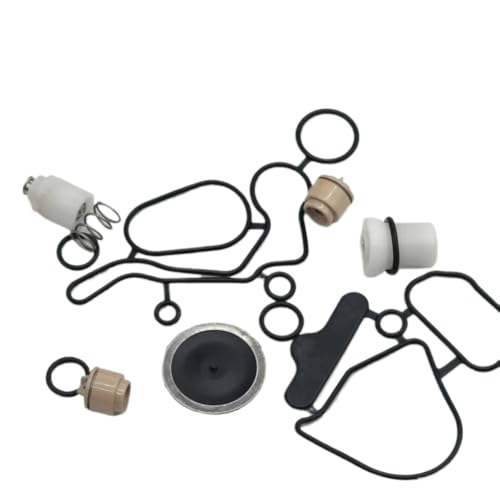 Kit de reparación de bomba de urea compatible con Emitec recambios 5273338 L4400-1205350A