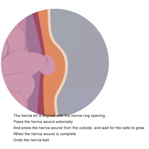 Faja para hernia ajustable soporte cintura hasta 42" miniatura 7