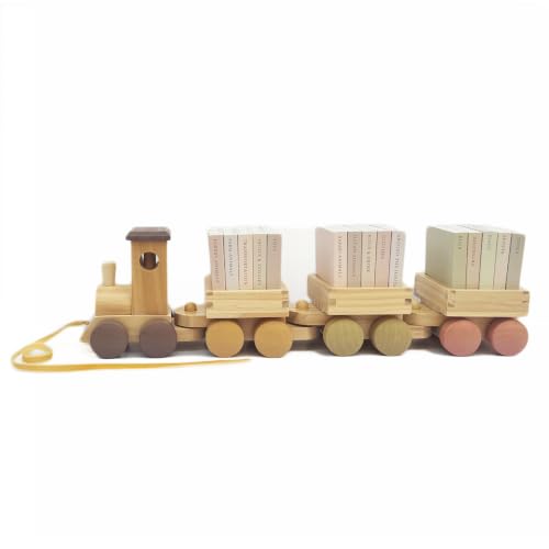 Image of My Little Locomotive Library: Our Little Library 15-Book Box Set (Tabitha Paige Children's Book Series)