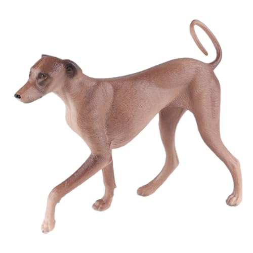 AENIMELY Realistischer Azawakh-Windhund – Feste Plastik braun-graue Windhund-Figur für Kinder, pädagogische Haustier-Dekoration, Kuchentopper & Sammler-Display