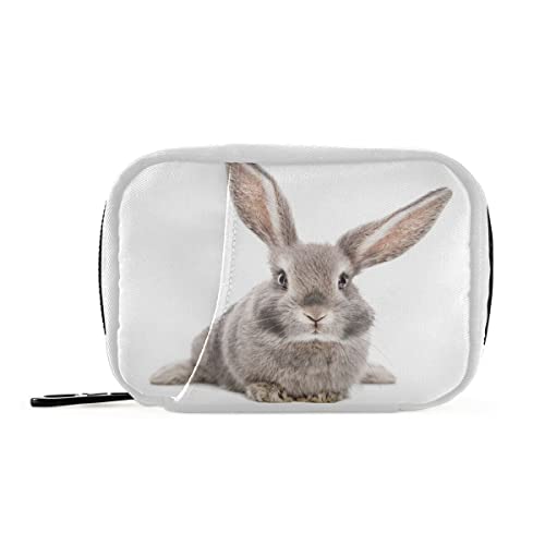 Akiraki sP[X P[X   gїp RpNg  e 킢  Aj} [|[` e  TvgP[X  ݖYh~ s AEghA o