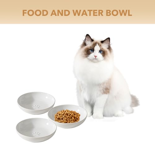 Havniva Ceramic Cat Bowl Whisker Friendly 5.7” Cat Dishes Shallow Cat Food Bowl Anti-Slip Pet Water Bowls for Indoor Cats, Wide Cat Food Dish Prevent Whisker Fatigue (3 Pack) by Havniva - Image 4