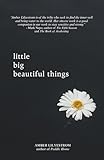 little big beautiful things