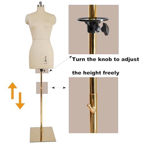lavandeform Female Dress Model Torso Body Clothing Forms,Sewing Mannequin Foam Body for Pinning.Height Adjustable Stand. (Beige, 2)