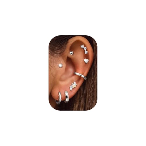 Diamday 8 Pares Pendientes Mujer Acero Quirurgico Aros Dorados Plata Hipoalergenicos Piercing Oreja Tragus Helix Piercings Cartílago Pendientes Pequeños Mujer Aretes Aros Oro Plata