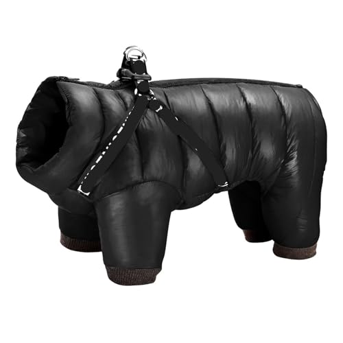 n[lXt~ppR[g - ghA^E^p(Black,20)