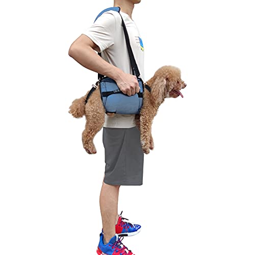Coodeo Hundetragegurt, Notfallrucksack Unterstützung für Rehabilitation Hundelift Geschirr, Hundeträger für ältere Hunde Gelenkverletzungen, Arthritis, Treppe hinauf (M, Blau)