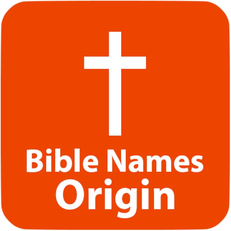 1 1 original name. 1 1 original name