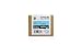Produktbild Epson Original C13T580500 / T5805, für Stylus Pro 3880 Premium Drucker-Patrone, Cyan Foto, 80 ml