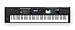 Roland Lightweight, 88-note Weighted-action Keyboard with Pro Sounds (JUNO-DS88)