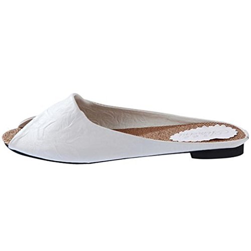 Hot Sale!Women Sandals,Canserin Women's Summer Sandals Shoes Peep-toe Low Shoes Roman Sandals Ladies Flip Flops Slippers (9.5 (M) US, White)