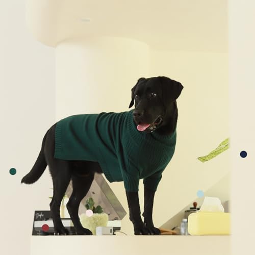 IECOii Hundepullover, Rollkragenpullover für Hunde, Weihnachten, warmer Pullover für kleine mittelgroße Hunde und Katzen, Sweatshirts für Hunde, Herbst und Winter für Chihuahua, Französische Bulldogge
