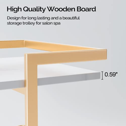 Omysalon Esthetician Cart With Wheels Utility Salon Rolling Trolley, Gold Mobile Storage Organizer For Beauty Spa Cosmetology Massage, Tattoo Manicure Facial Tool Holder Station #TOP5