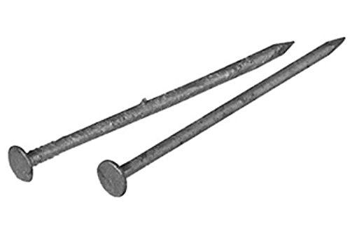 Fas-N-Tite Hot Dipped Galvanized Box Nails (2-1/2") - 30lb Bucket