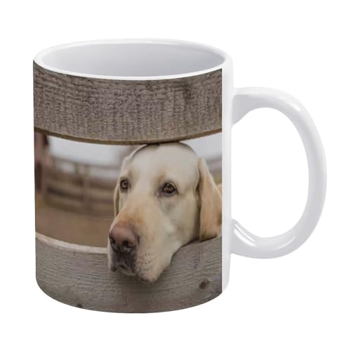 }OJbv uh[Ego[ R[q[Jbv Z~bNn HJbv  ʈ R[q[}O ϔM ۉ Jbv nӃRbv 킢 Jbv ~NRbv }WbNJbv eB[Jbv Rbv eB [Jbv Rbv eB[R