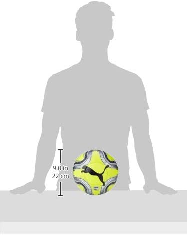 puma final 1 statement