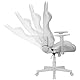 Ranqer Felix Gaming Stuhl - Professioneller Gaming-Sessel - Ergonomischer Gaming Stuhl - 180° verstellbare Rückenlehne mit Kissen - Stabiles Nylon Gestell - Komplett in Weiß