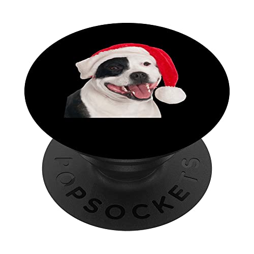 Divertente immagine Pit Bull per un ottimo regalo di Natale per donne, uomini, ragazzi, ragazze e ragazzi che amano cani e pitbulls, Pitties e Pit Bull Terrier. Simpatici cani di Babbo Natale abbinati PJ natalizi per mamma, papà, marito, moglie, figlio, figlia, bambini, nonna, nonno