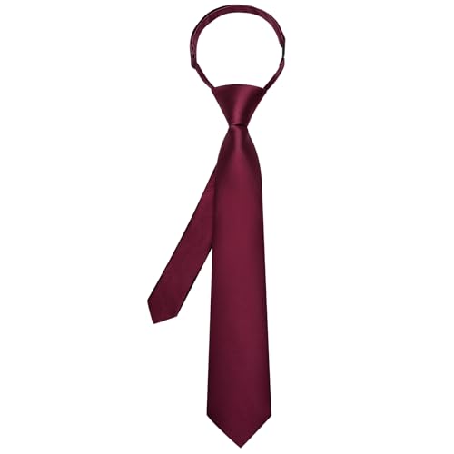 Image of Hi-Tie Pretied Boys Ties Solid Color Kids Adjustable Necktie Lapel Pin Clip Set Age 8-12 Wedding School Graduation