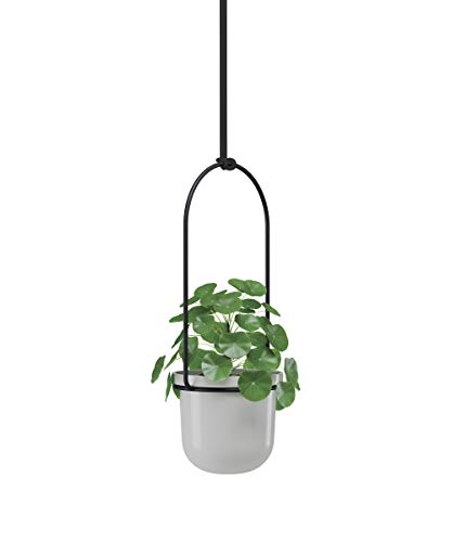 image for Umbra Triflora Hanging Planters for Indoor Plants or Herbs, Grey, Grey