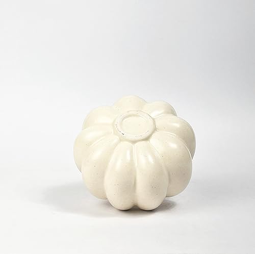 Image of Bliss Hohm Decorative Ceramic Flower Vase for Home Decor and Gifting, Flower Vases for Living Room & Office Decor, Decoration Items, Wall Tabletop showpieces (White Pumpkin)