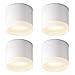 Produktbild SSC-LUXon VORA LED Aufbaulampe rund weiß pulverbeschichtet 4er Set - Deckenleuchte Wohnzimmer Leuchtrand mit GX53 warmweiß 5W